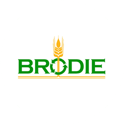 OPE Dealer Brodie Software Success Stories